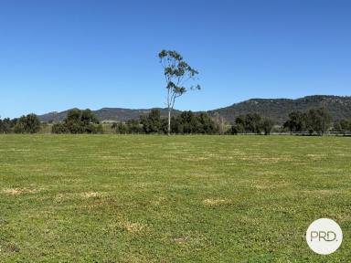 Farm For Sale - NSW - Denman - 2328 - Established Equine Facility  (Image 2)