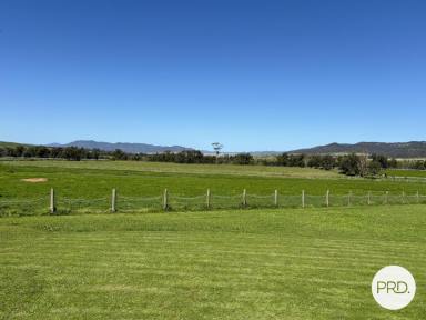 Farm For Sale - NSW - Denman - 2328 - Established Equine Facility  (Image 2)