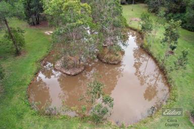 Farm For Sale - QLD - Glenwood - 4570 - IDYLLIC OFF-GRID OASIS!  (Image 2)