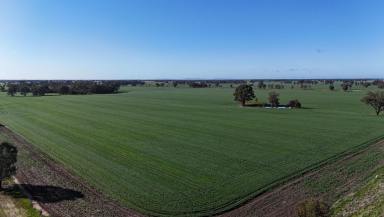 Farm Auction - VIC - Wunghnu - 3635 - Dryland Cropping/Grazing Farm  (Image 2)