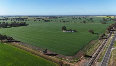 Farm Auction - VIC - Wunghnu - 3635 - Dryland Cropping/Grazing Farm  (Image 2)