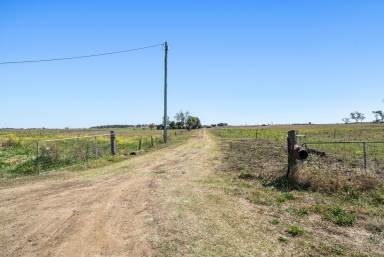 Farm Auction - QLD - Mount Tyson - 4356 - Tightly Held Inner Downs Blue Chip Opportunity with 78ML Water  (Image 2)