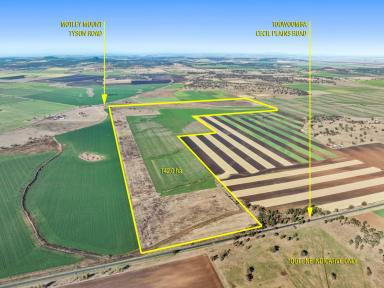 Farm Auction - QLD - Mount Tyson - 4356 - Tightly Held Inner Downs Blue Chip Opportunity with 78ML Water  (Image 2)