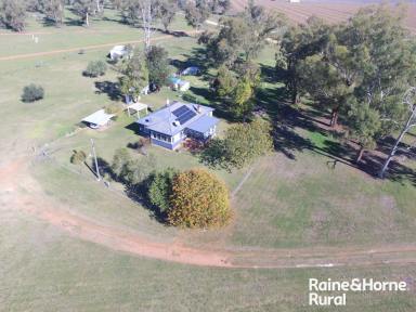 Farm For Sale - NSW - Quirindi - 2343 - ENJOY THE SERENITY and views of the Liverpool Plains  (Image 2)