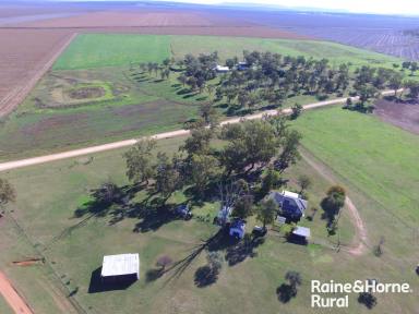 Farm For Sale - NSW - Quirindi - 2343 - ENJOY THE SERENITY and views of the Liverpool Plains  (Image 2)