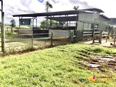 Farm For Sale - QLD - Utchee Creek - 4871 - Blue Ribbon Agricultural Land  (Image 2)