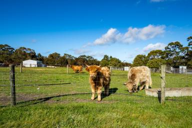 Farm For Sale - WA - Manypeaks - 6328 - 235 Corimup East Road | MANYPEAKS  (Image 2)