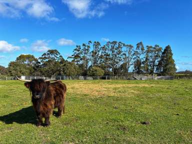 Farm For Sale - WA - Manypeaks - 6328 - 235 Corimup East Road | MANYPEAKS  (Image 2)