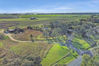 Farm For Sale - NSW - Cowra - 2794 - 3ACRE BUILDING BLOCK WITH GREAT VIEWS AND A SHED!  (Image 2)