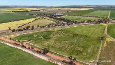 Farm For Sale - WA - Wadderin - 6369 - LIFESTYLE BLOCK CLOSE TO NAREMBEEN TOWN  (Image 2)