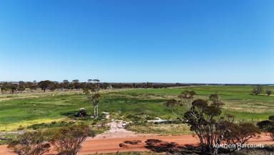 Farm For Sale - WA - Wadderin - 6369 - LIFESTYLE BLOCK CLOSE TO NAREMBEEN TOWN  (Image 2)