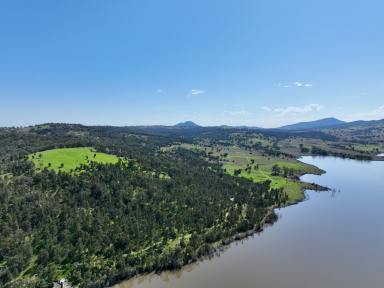 Farm For Sale - NSW - Quirindi - 2343 - "Tevreda North" Quality Grazing Adjacent Quipolly Dam  (Image 2)