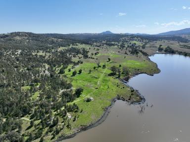 Farm For Sale - NSW - Quirindi - 2343 - "Tevreda North" Quality Grazing Adjacent Quipolly Dam  (Image 2)