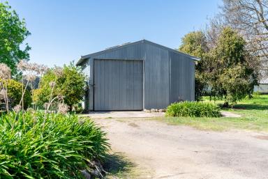 Farm Auction - VIC - Euroa - 3666 - Charming Rural Retreat Just Minutes from Euroa  (Image 2)