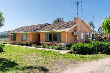 Farm Auction - VIC - Euroa - 3666 - Charming Rural Retreat Just Minutes from Euroa  (Image 2)