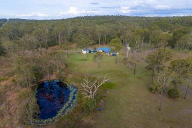 Farm For Sale - QLD - Eureka - 4660 - SIMPLY STUNNING  (Image 2)