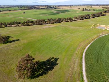 Farm For Sale - WA - Katanning - 6317 - Glenrowan, 209 Washington Road, Katanning - property with excellent soil types  (Image 2)