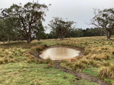 Farm For Sale - VIC - Bunding - 3342 - 33Ha (approx. 86 Acres); Vacant Land; Fenced Pasture; Views; Ballan Area  (Image 2)