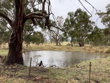 Farm For Sale - VIC - Bunding - 3342 - 33Ha (approx. 86 Acres); Vacant Land; Fenced Pasture; Views; Ballan Area  (Image 2)