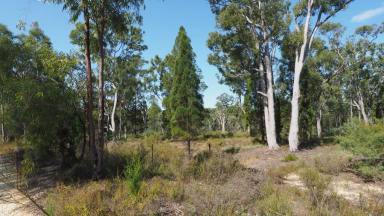 Farm For Sale - NSW - Warialda - 2402 - Beautiful Bush Block  (Image 2)