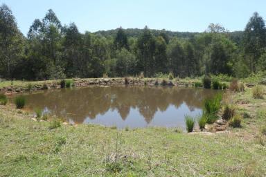 Farm For Sale - NSW - Bonalbo - 2469 - YOUR NEW FARM  (Image 2)