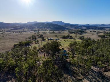 Farm For Sale - NSW - Singleton - 2330 - Country Escape Without All The Hard Work  (Image 2)