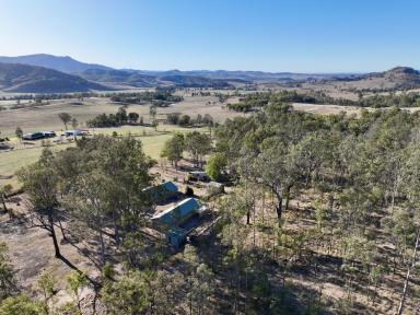 Farm For Sale - NSW - Singleton - 2330 - Country Escape Without All The Hard Work  (Image 2)