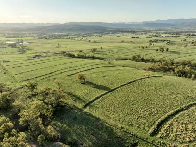 Farm For Sale - NSW - Scone - 2337 - "Park Heights" Views Productivity & Potential  (Image 2)