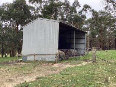 Farm For Sale - VIC - Korobeit - 3341 - 29.99Ha (approx. 74 acres); Picturesque Grazing Land; Fenced; Views  (Image 2)