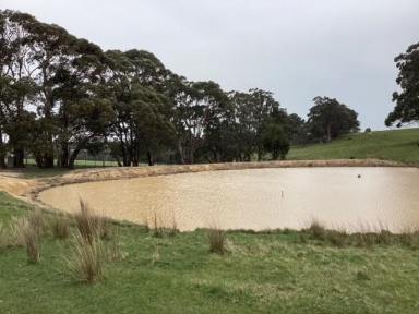 Farm For Sale - VIC - Korobeit - 3341 - 29.99Ha (approx. 74 acres); Picturesque Grazing Land; Fenced; Views  (Image 2)