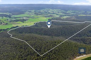 Farm For Sale - VIC - Carlisle River - 3239 - Discover Your Own Bushland with River Frontage...  (Image 2)