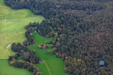 Farm For Sale - VIC - Carlisle River - 3239 - Discover Your Own Bushland with River Frontage...  (Image 2)