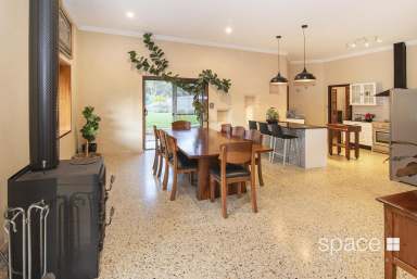 Farm For Sale - WA - Margaret River - 6285 - The Ultimate Tree Change  (Image 2)