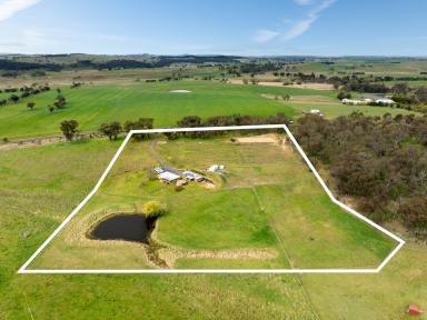 Farm Auction - NSW - Orange - 2800 - "Fontenay" - Relax in this Country Haven  (Image 2)