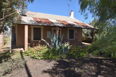 Farm For Sale - SA - Quorn - 5433 - 3108 Flinders ranges Way. (House & Land)  (Image 2)