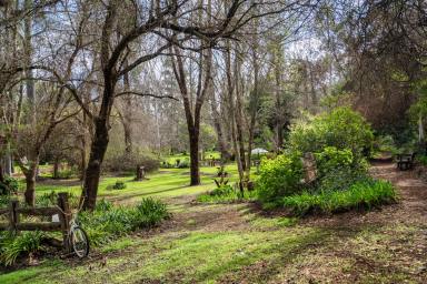 Farm For Sale - WA - Nannup - 6275 - A Country Estate in the Heart of Nannup  (Image 2)