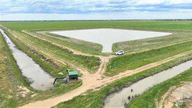 Farm For Lease - NSW - Deniliquin - 2710 - Expansive Cropping & Livestock Lease  (Image 2)