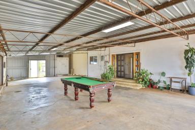 Farm For Sale - VIC - Red Cliffs - 3496 - ROOM TO CALL YOUR OWN  (Image 2)