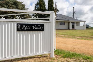 Farm Auction - NSW - Young - 2594 - Productive, Private and Picturesque!  (Image 2)