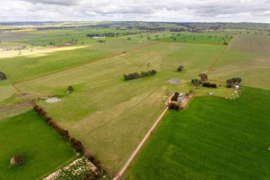 Farm Auction - NSW - Young - 2594 - Productive, Private and Picturesque!  (Image 2)