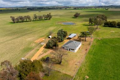 Farm Auction - NSW - Young - 2594 - Productive, Private and Picturesque!  (Image 2)