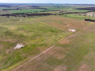 Farm For Sale - NSW - West Wyalong - 2671 - Broadacre Mixed Farming with Scale  (Image 2)