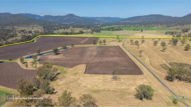 Farm Auction - QLD - Kerry - 4285 - Fulfil the dream at 'Dayspring'  (Image 2)