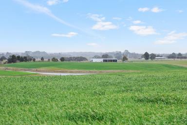 Farm For Sale - VIC - Carngham - 3351 - EXCEPTIONAL BALLARAT DISTRICT PROPERTY  (Image 2)