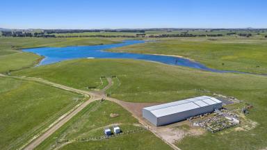 Farm For Sale - VIC - Carngham - 3351 - EXCEPTIONAL BALLARAT DISTRICT PROPERTY  (Image 2)