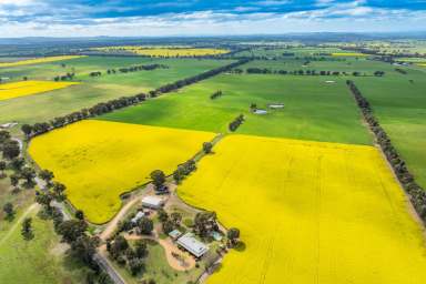 Farm For Sale - NSW - Cowra - 2794 - Beautiful Country Home, Set On 110acres* Of Prime Land & Income!  (Image 2)