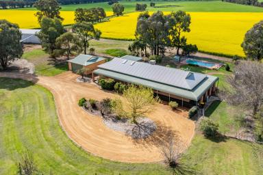 Farm For Sale - NSW - Cowra - 2794 - Beautiful Country Home, Set On 110acres* Of Prime Land & Income!  (Image 2)