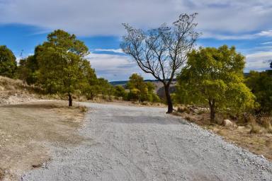 Farm For Sale - NSW - Oberon - 2787 - "Enchanted Forest" - Your Private Bushland Retreat  (Image 2)