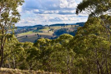 Farm For Sale - NSW - Oberon - 2787 - "Enchanted Forest" - Adventure Awaits  (Image 2)