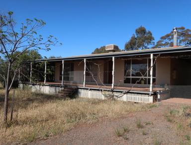 Farm For Sale - NSW - Griffith - 2680 - "SUNRISE"  QUALITY RED LOAM FARMING  929 acres and 329 acres with piped water scheme to both  (Image 2)